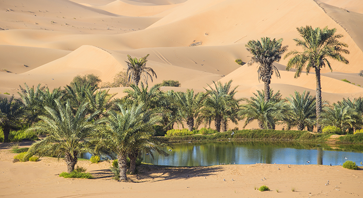 Your House Could Be the Oasis in an Inventory Desert | Simplifying The Market